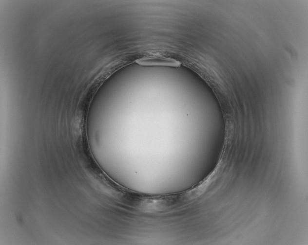 X0000112800174200909041440