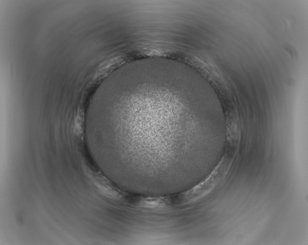 X0000112800175200909041440