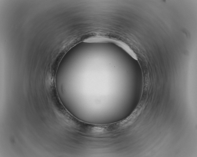 X0000112800176200909041440