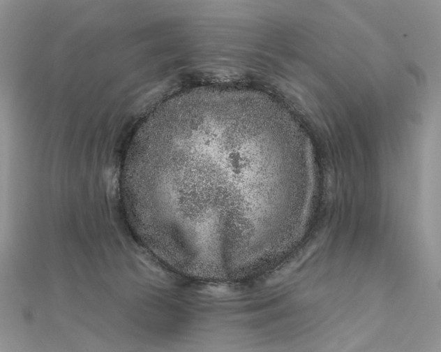 X0000112800177200909041440