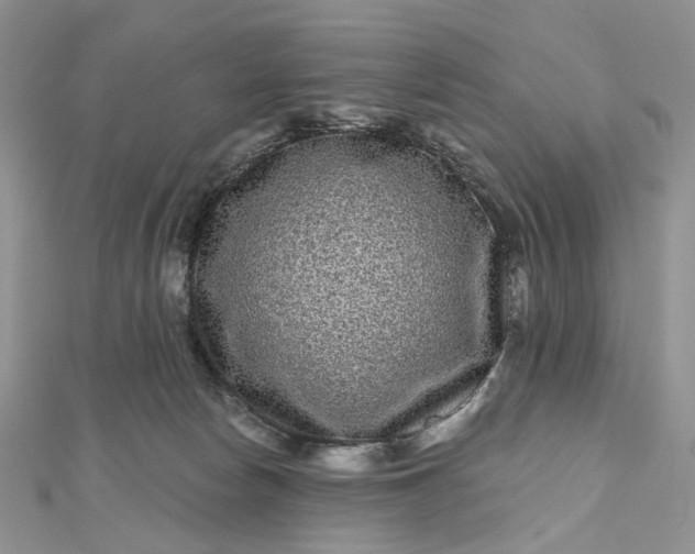 X0000112800178200909041440