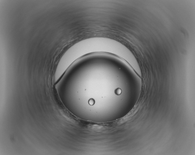 X0000112800180200909041440