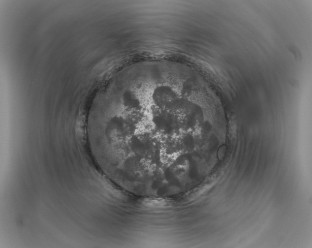 X0000112800181200909041440