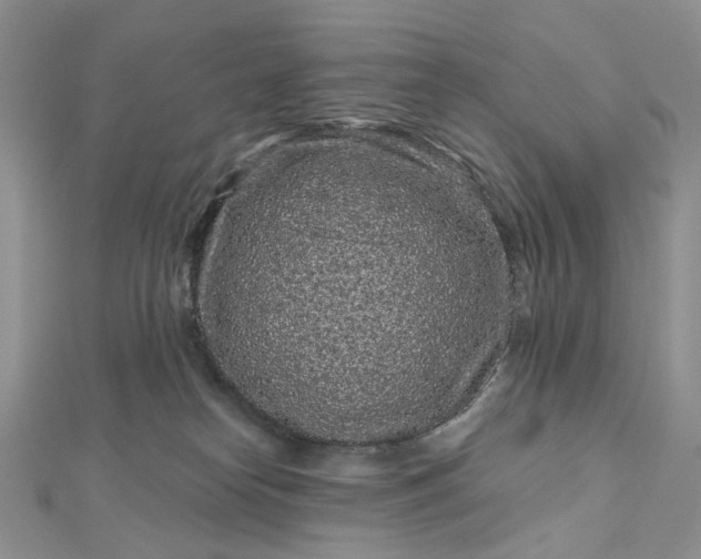 X0000112800182200909041440