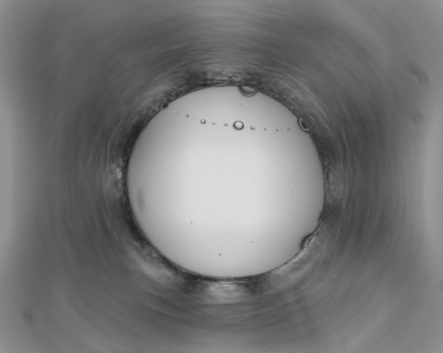 X0000112800183200909041440