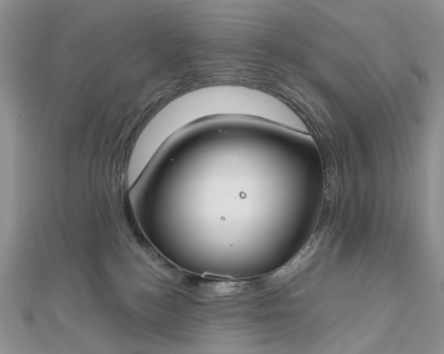 X0000112800184200909041440