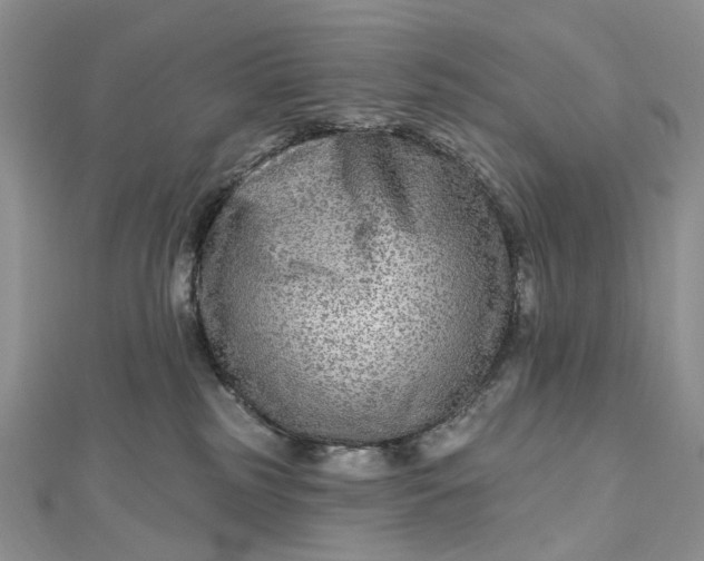 X0000112800185200909041440