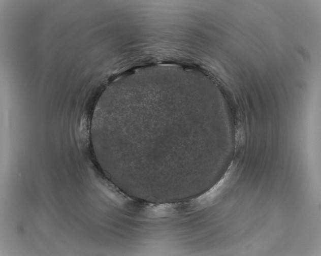 X0000112800186200909041440