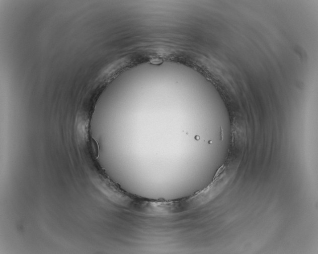 X0000112800188200909041440