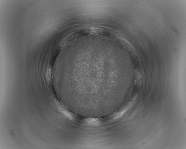 X0000112800189200909041440