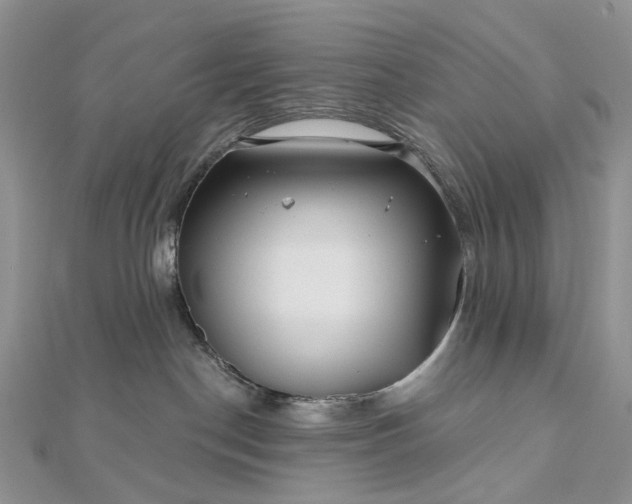 X0000112800190200909041440