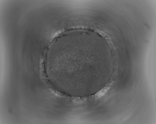 X0000112800192200909041440