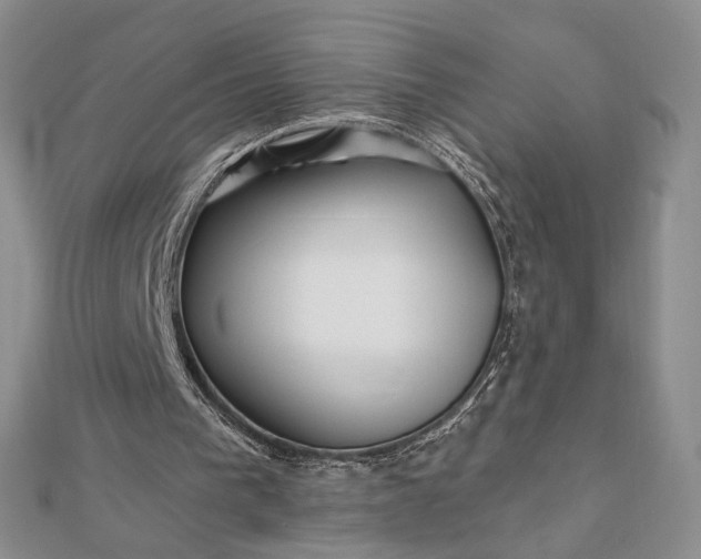 X0000112800193200909041440