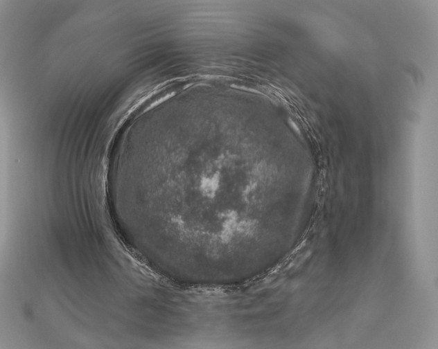 X0000112800194200909041440