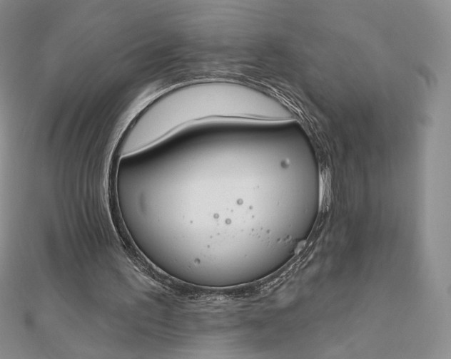 X0000112800195200909041440