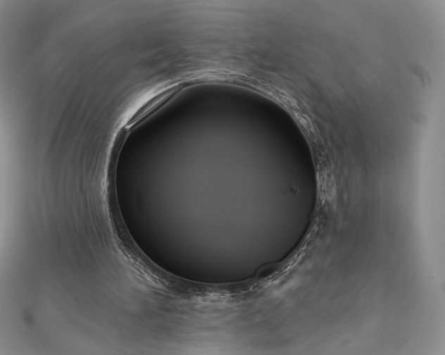 X0000112800196200909041440