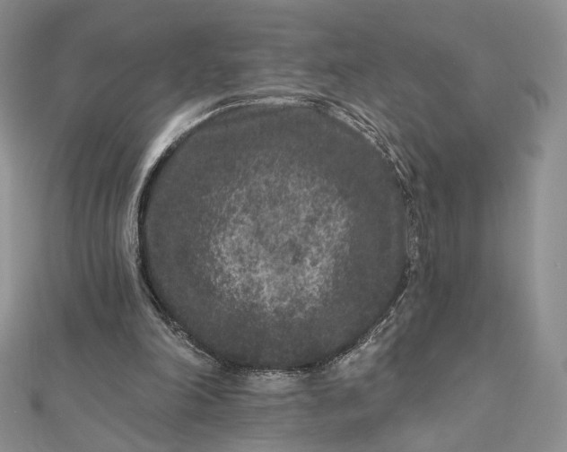 X0000112800198200909041440