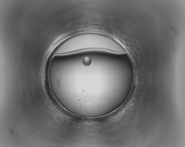 X0000112800199200909041440