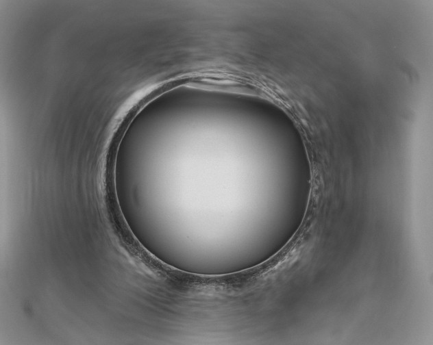 X0000112800200200909041440