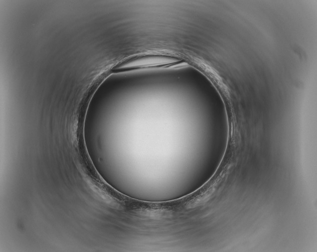 X0000112800201200909041440