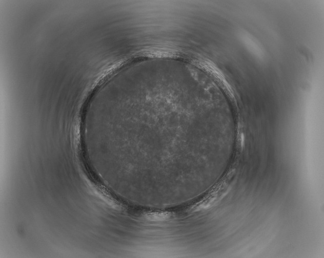 X0000112800202200909041440