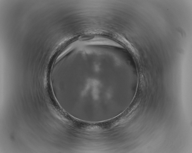 X0000112800203200909041440