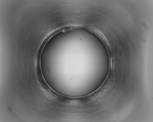 X0000112800204200909041440