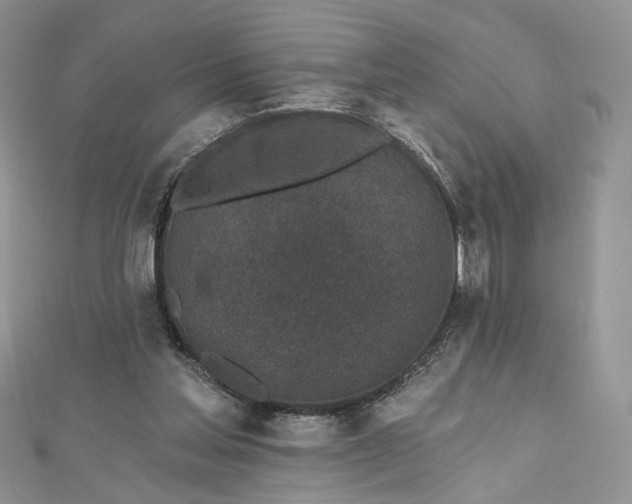 X0000112800205200909041440