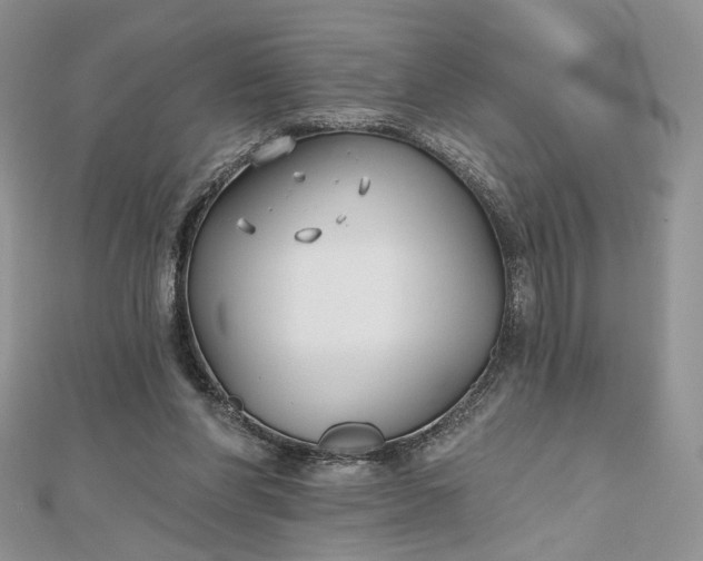 X0000112800206200909041440