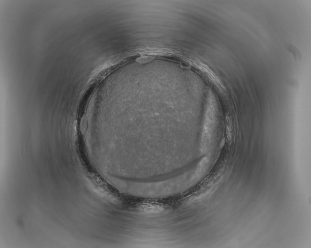 X0000112800207200909041440