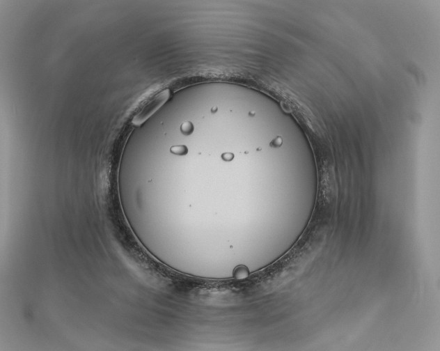 X0000112800208200909041440