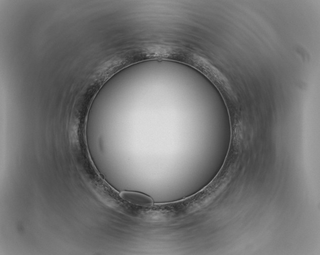 X0000112800209200909041440