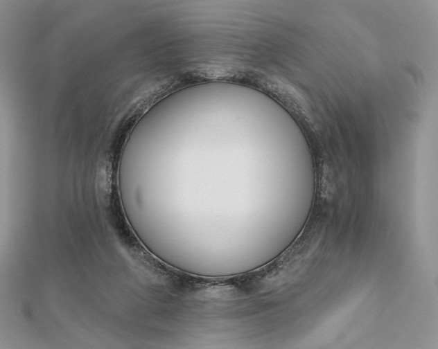 X0000112800210200909041439