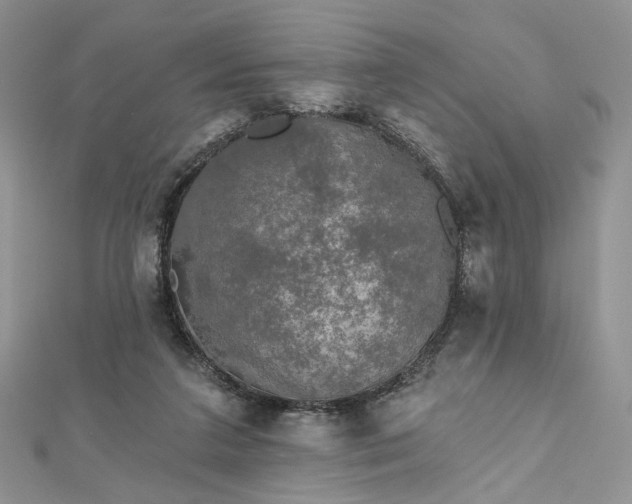 X0000112800211200909041439