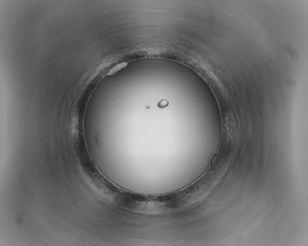 X0000112800212200909041439