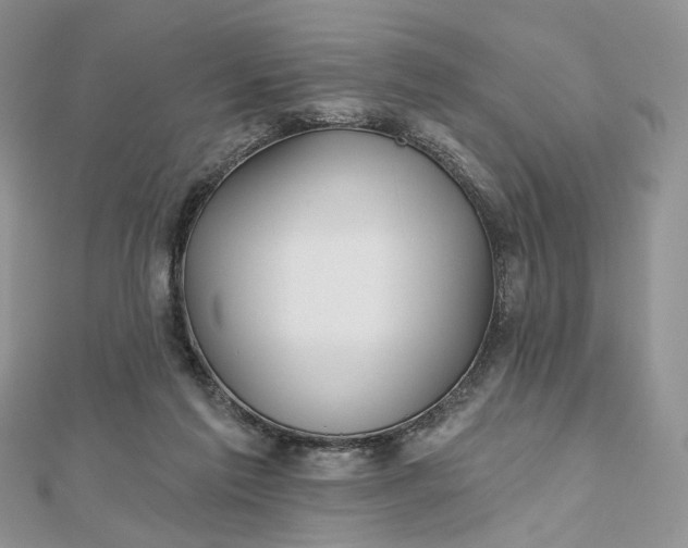 X0000112800213200909041439