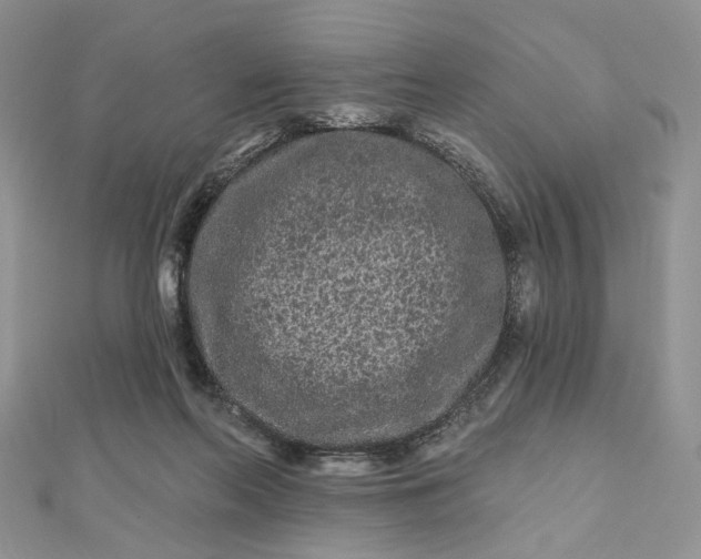 X0000112800214200909041439