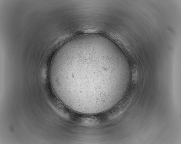 X0000112800215200909041439