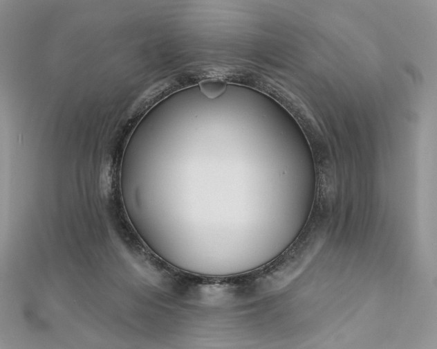 X0000112800216200909041439