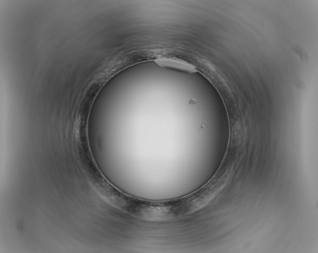 X0000112800217200909041439