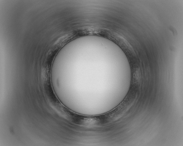 X0000112800218200909041439