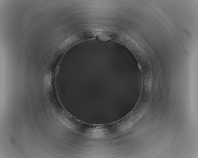 X0000112800219200909041439