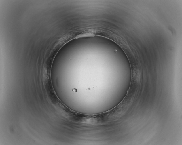 X0000112800220200909041439