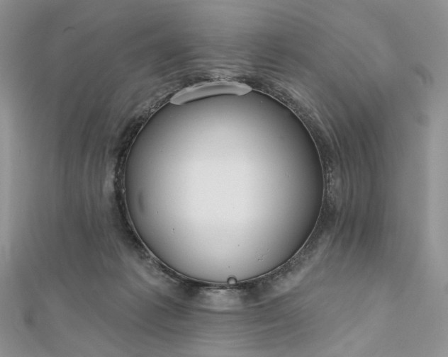 X0000112800221200909041439