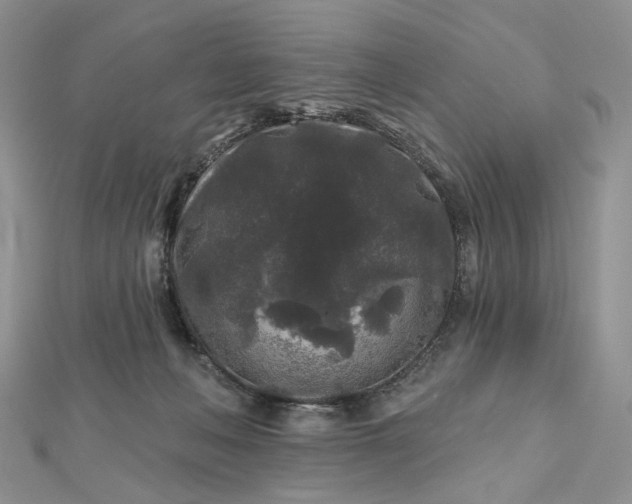 X0000112800222200909041439