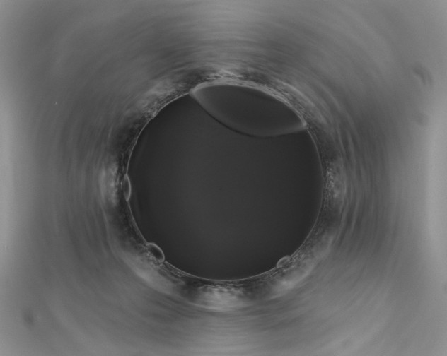 X0000112800223200909041439