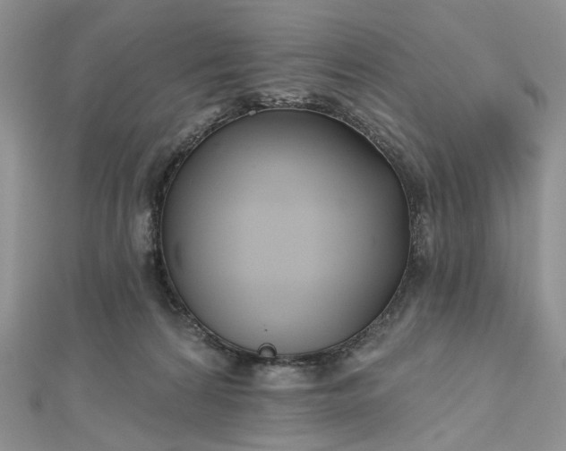 X0000112800224200909041439