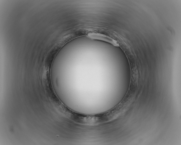 X0000112800225200909041439