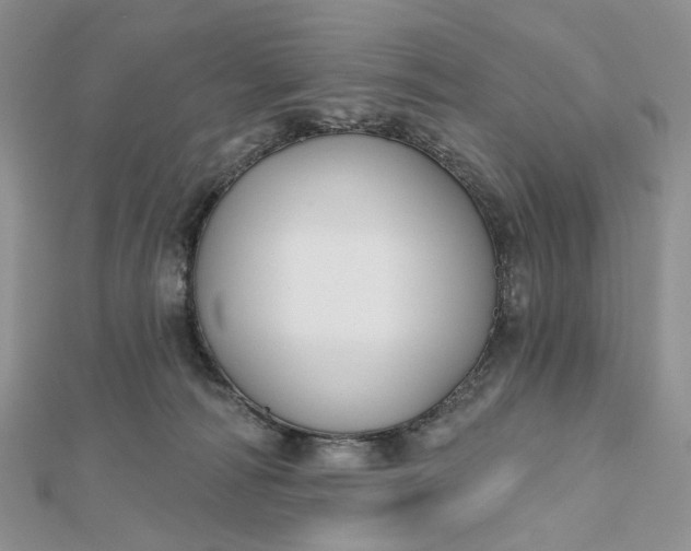 X0000112800226200909041439