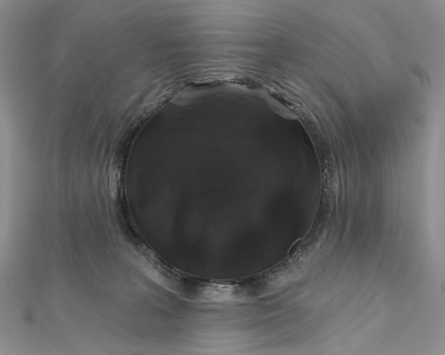 X0000112800227200909041439